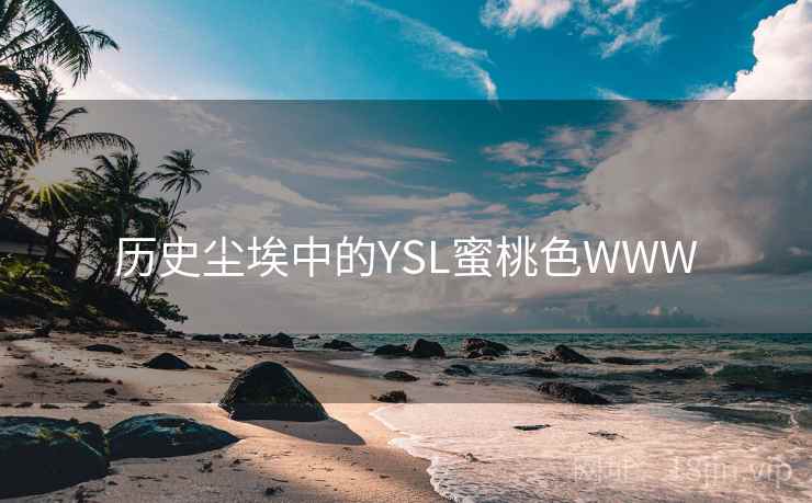 历史尘埃中的YSL蜜桃色WWW